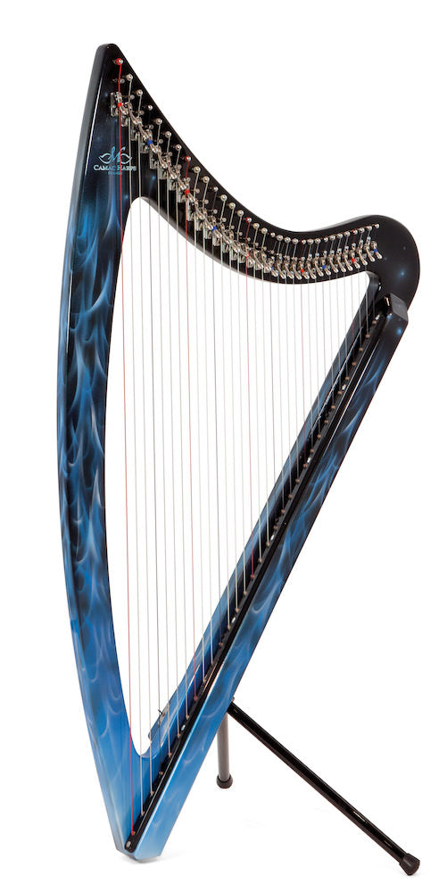 CAMAC DHC Elec-Harp 36 (TRUE FIRE) image 1