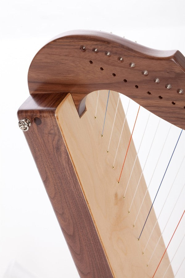 Special Fullsicle-Harp Walnut + Dandelion image 3
