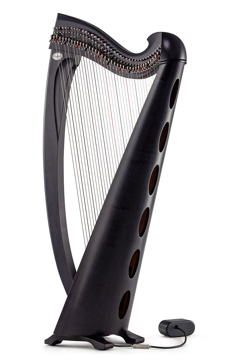 Salvi UNA ELECTRO ACOUSTIC image 6