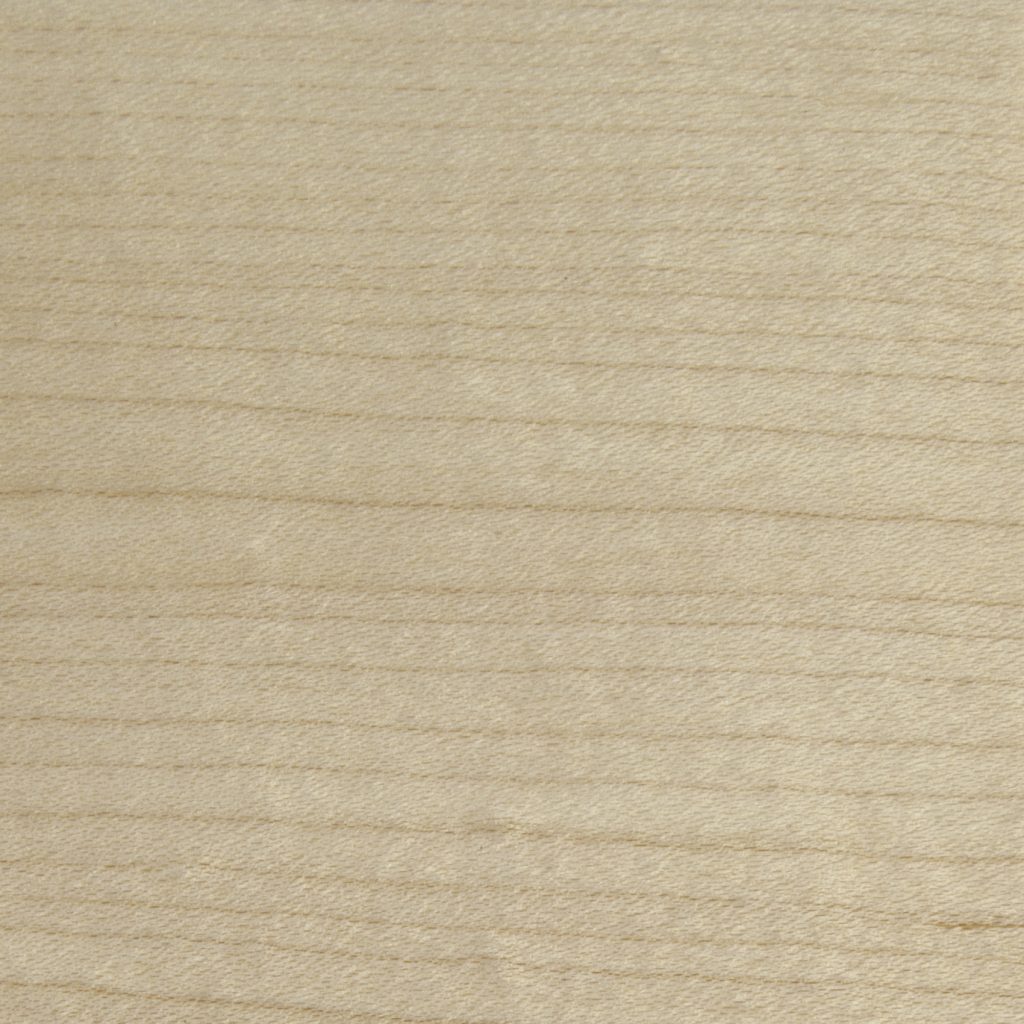 SALVI APOLLO image 4