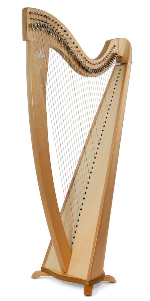 CAMAC Korrigan 38st image 1