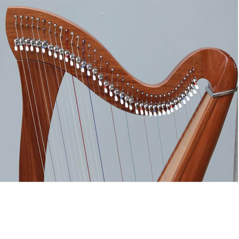 Mikel Harps: Daisy 38st image 3