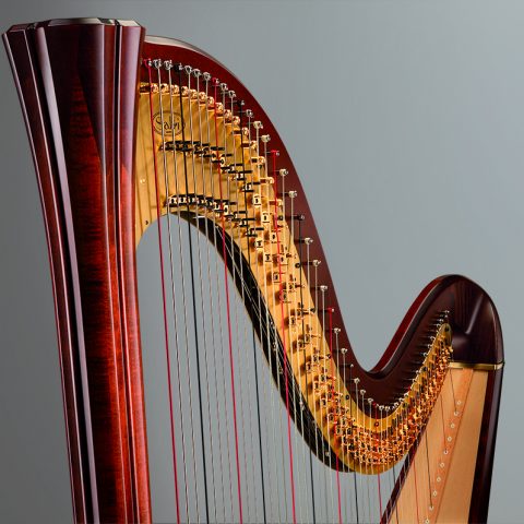 SALVI DAPHNE 47 SE image 1