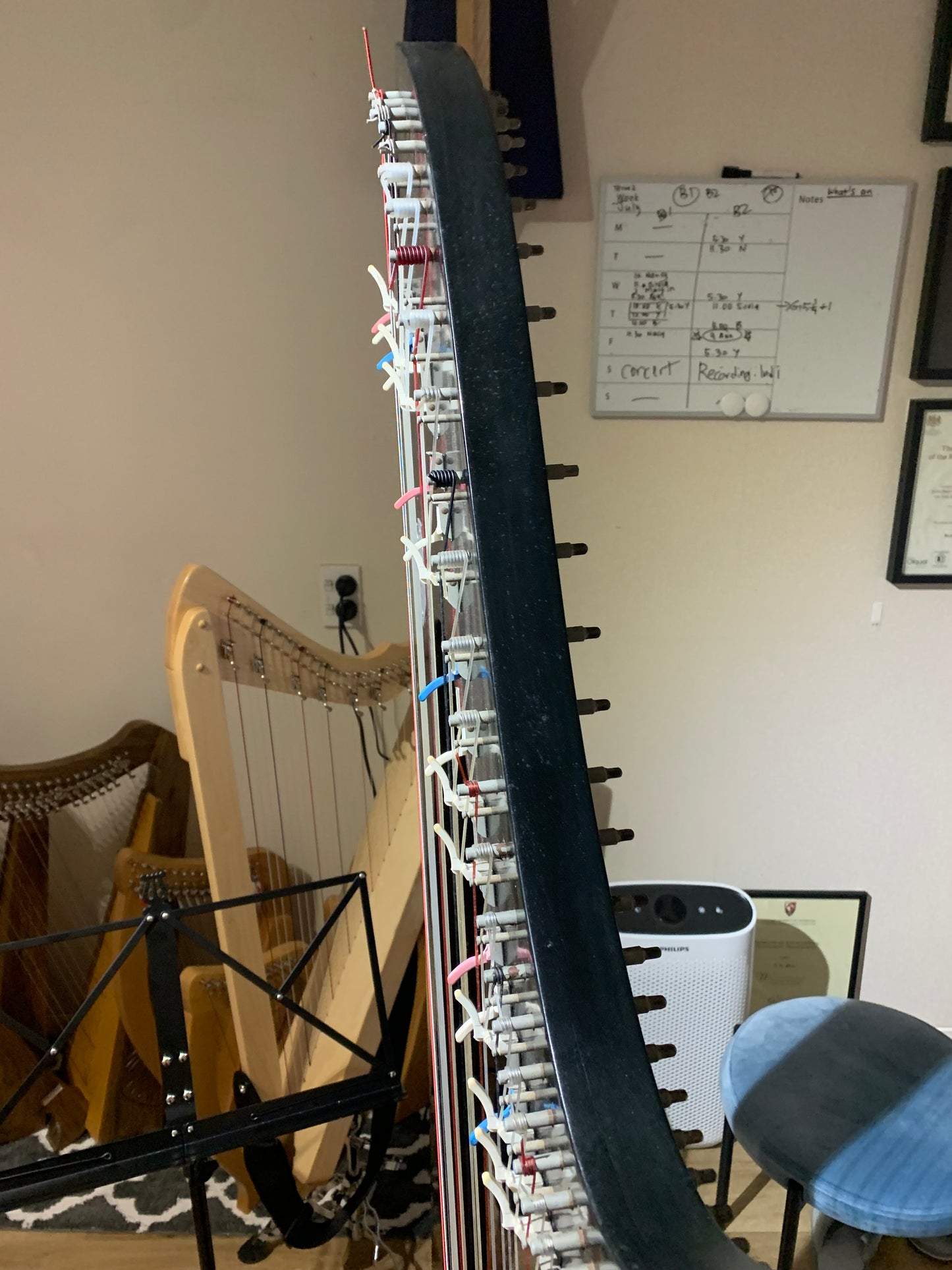 Pre-Loved Lyon & Healy TROUBADOUR 3, 36st Lever Harp image 8