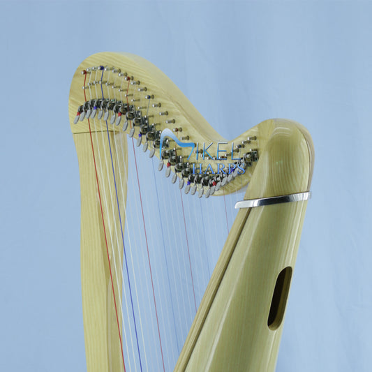 Mikel Harps: Aster 27st image 1