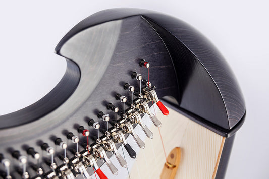 Salvi UNA ELECTRO ACOUSTIC image 1