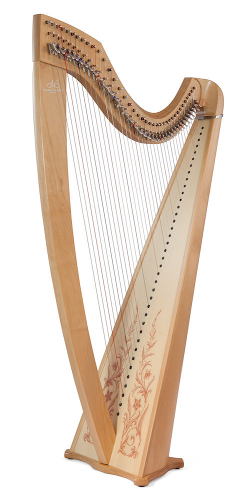 CAMAC Isolde Celtic or Classic 38st image 3