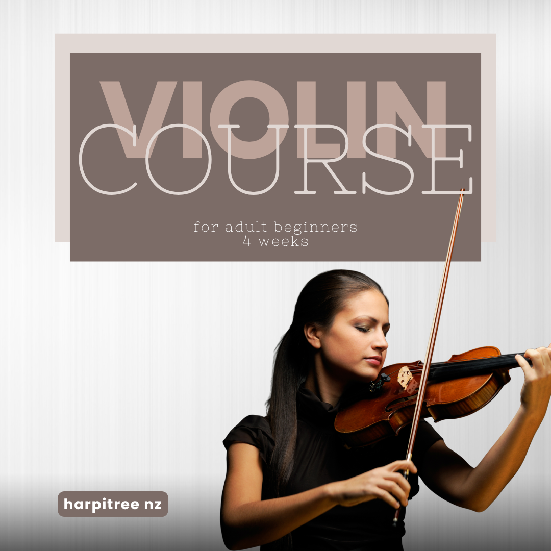 Adult Intro violin 4-week course