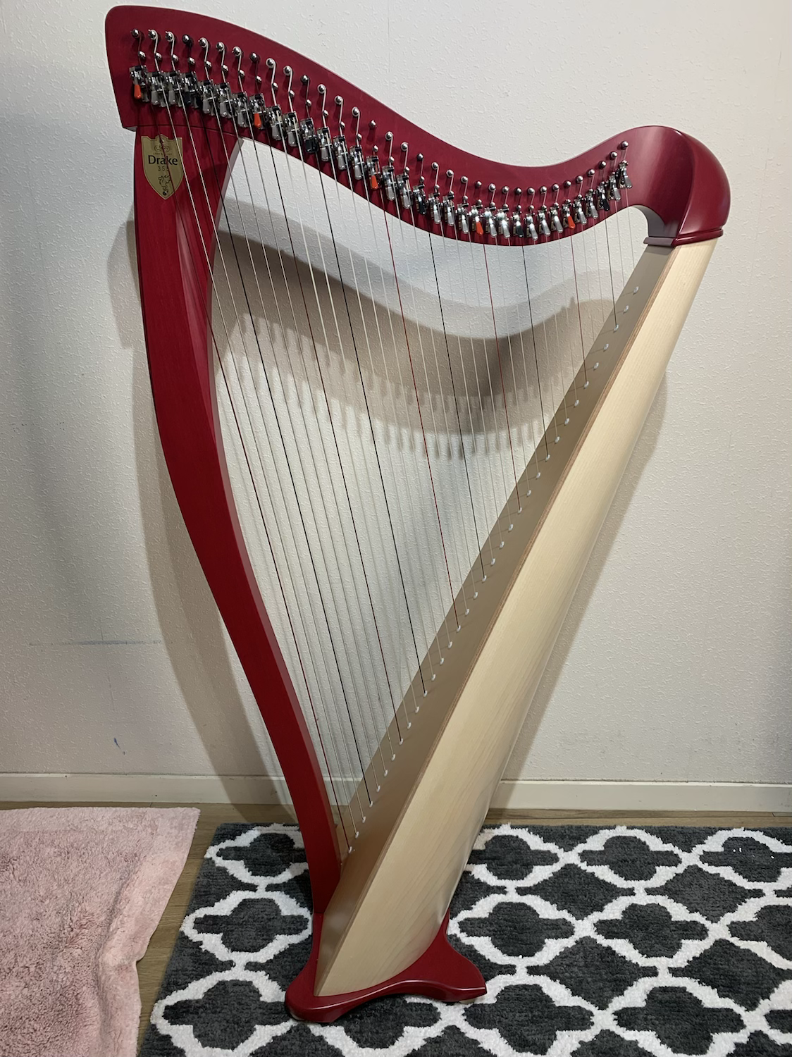 Lyon & Healy Drake 34st Two-tone image 0