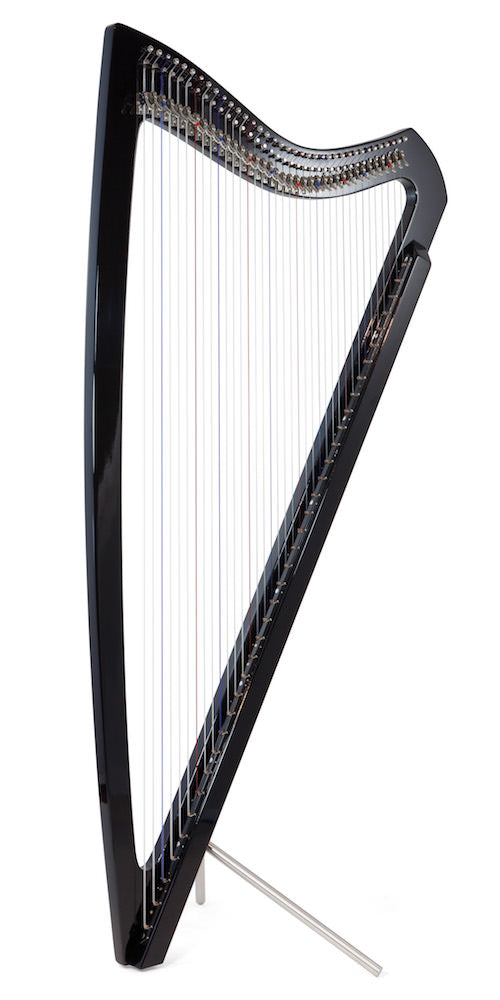 CAMAC Electro Paraguayan Harp 37st image 1