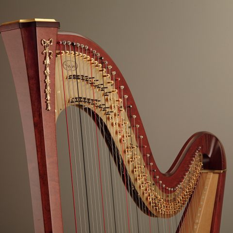 SALVI ARION SG GOLD image 3