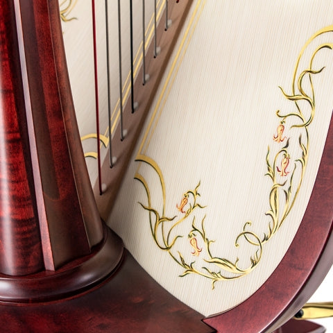 Salvi Aurora image 1