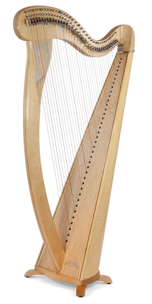 CAMAC Melusine Concert 38st image 1