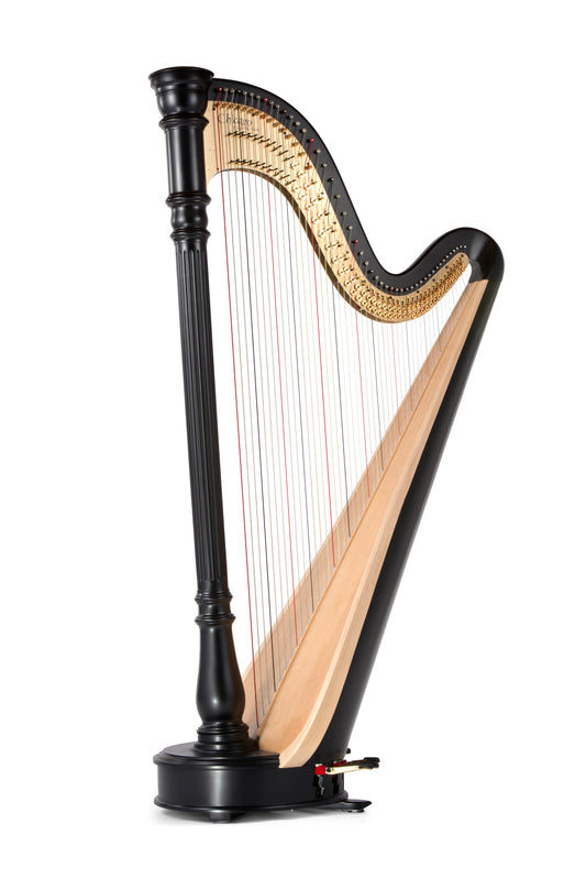 Lyon & Healy: Chicago CG Extended image 1