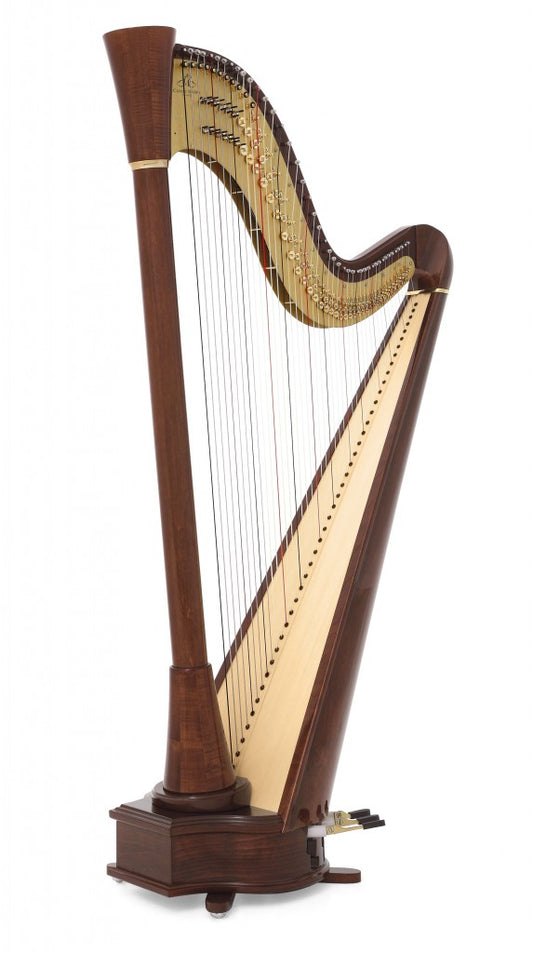 CAMAC Clio Extended 44st image 1