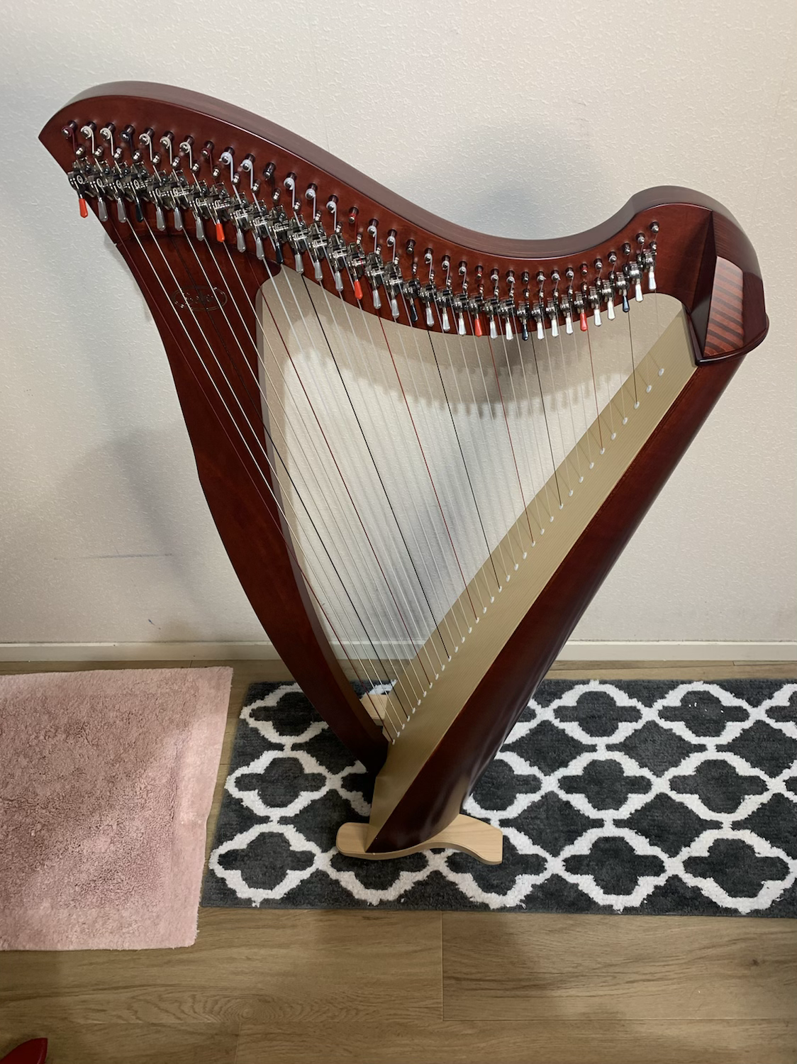 Salvi Mia 34st Biocarbon MAHOGANY image 5