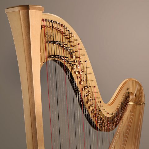 SALVI ARION SG image 2