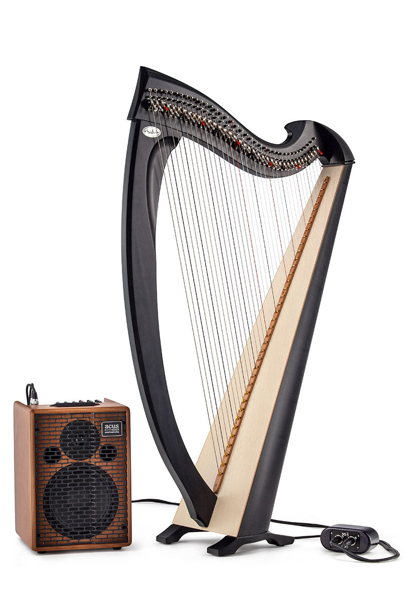Salvi UNA ELECTRO ACOUSTIC image 4