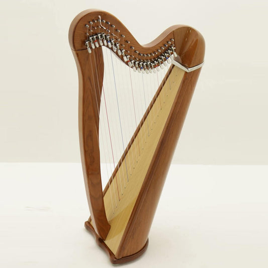 Mikel Harp: Aster 22st image 1