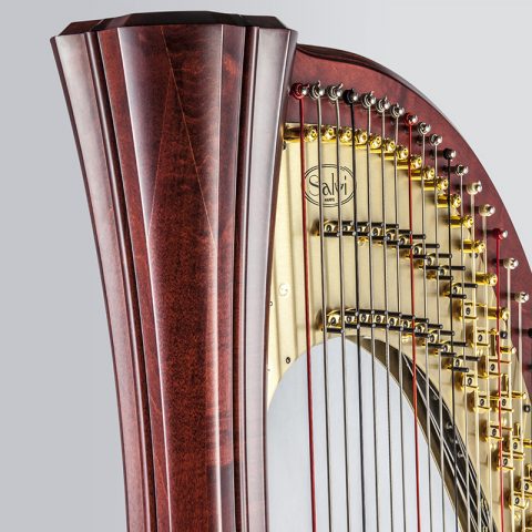 SALVI DAPHNE 47 EX image 1