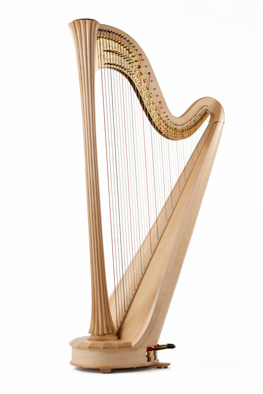 Lyon & Healy: Style 100 image 1