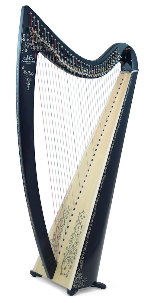 CAMAC Ulysse 34st image 1