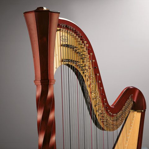 SALVI APOLLO image 1