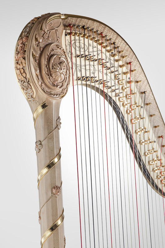 Salvi Vctoria Gold image 1