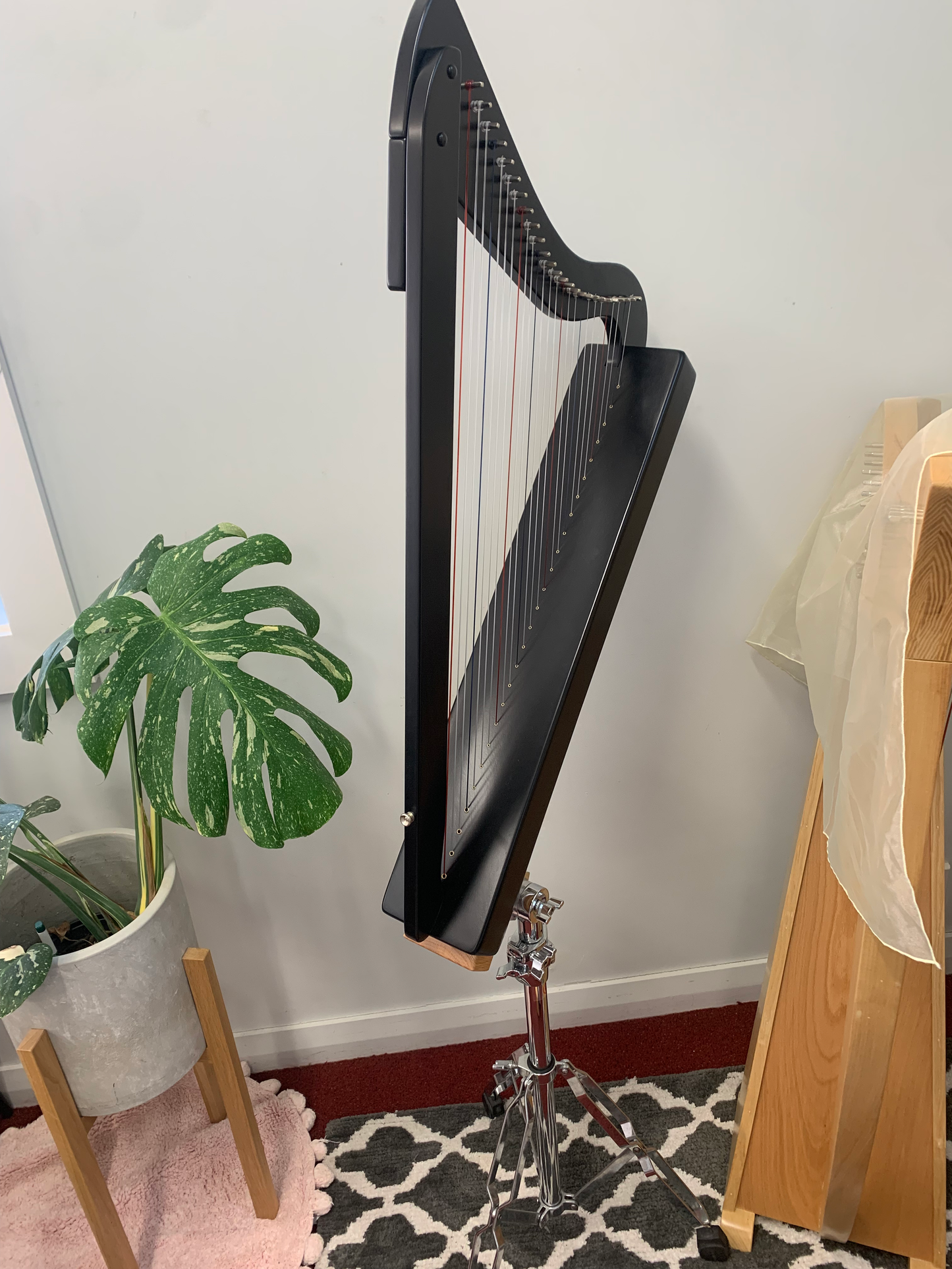 harpsicle-harp 26st black harp image 3