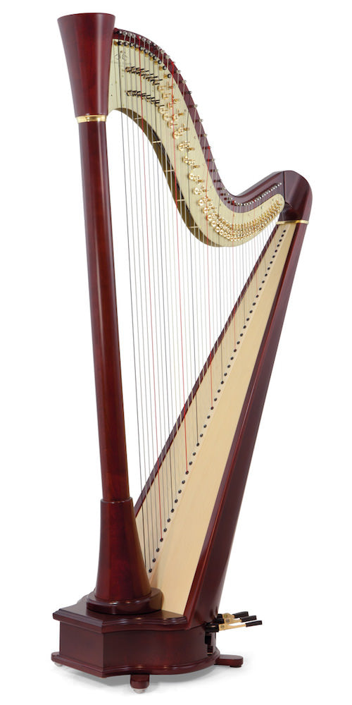 CAMAC Clio Straight 44st image 1