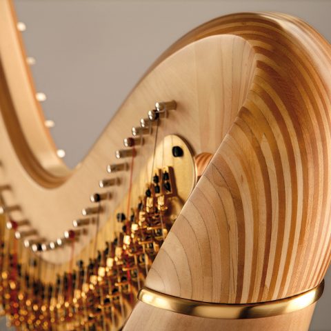 SALVI ARION SG image 1