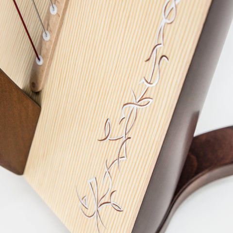 Salvi Donegal 34st image 1