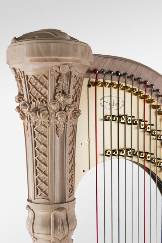 SALVI Irish Natural image 1