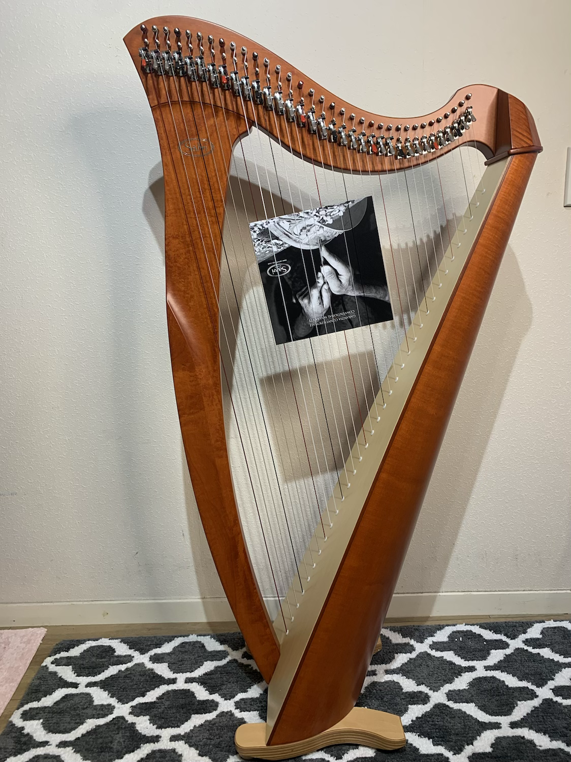 Salvi Mia 34st CHERRYWOOD image 3