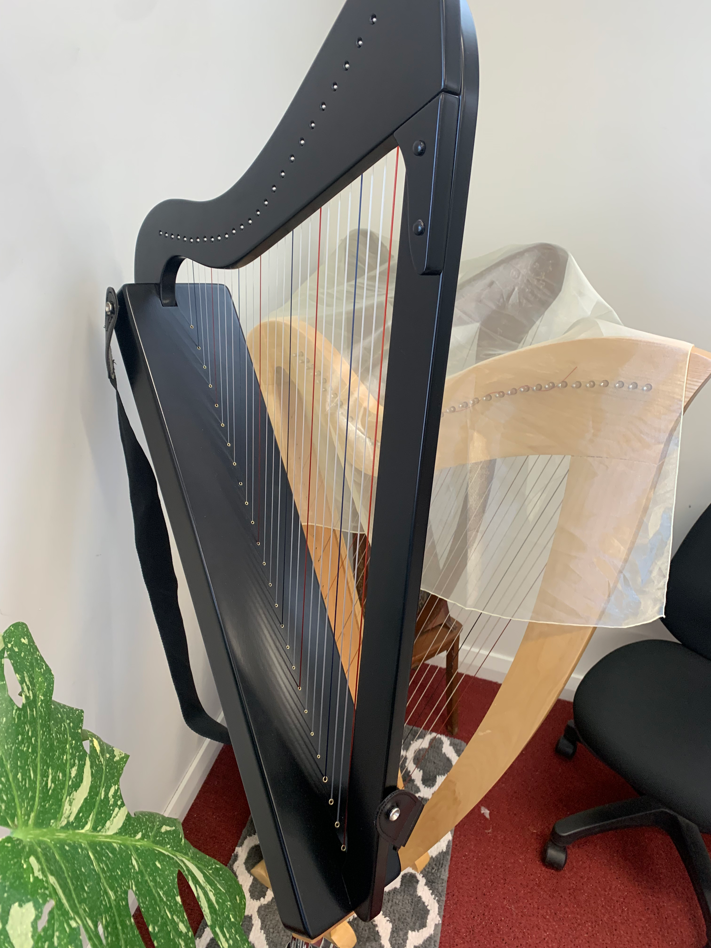 harpsicle-harp 26st black harp image 5