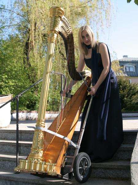 HARPO Trolley image 3