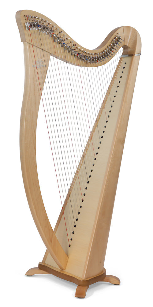 CAMAC Hermine 34st image 1