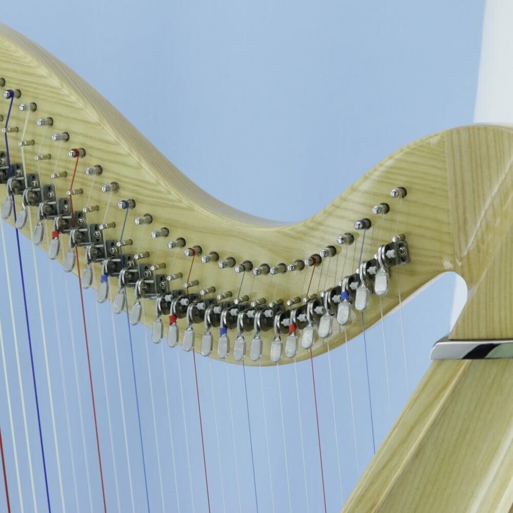 Mikel Harp: Lotus 34st image 7