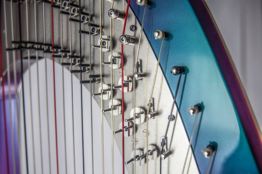 Salvi RAINBOWCG image 1