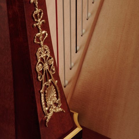 SALVI ARION SG GOLD image 2