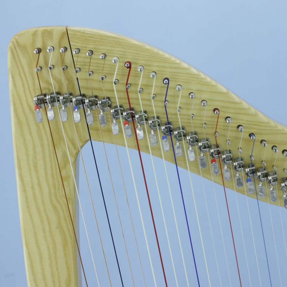 Mikel Harp: Lotus 34st image 2