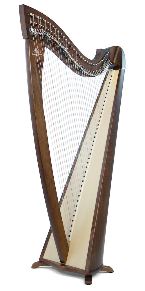 CAMAC Excalibur 38st image 1