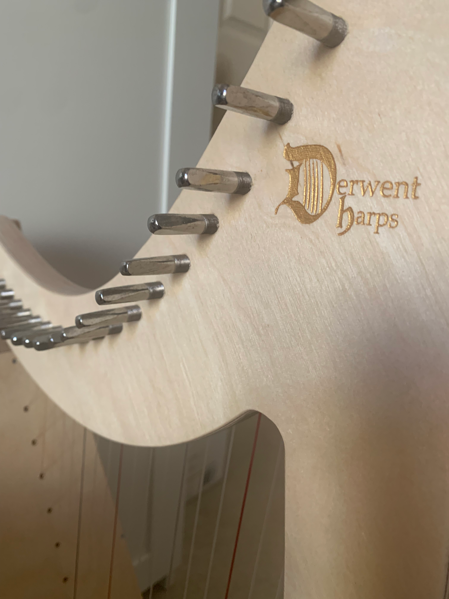 Derwent harp 16st image 5