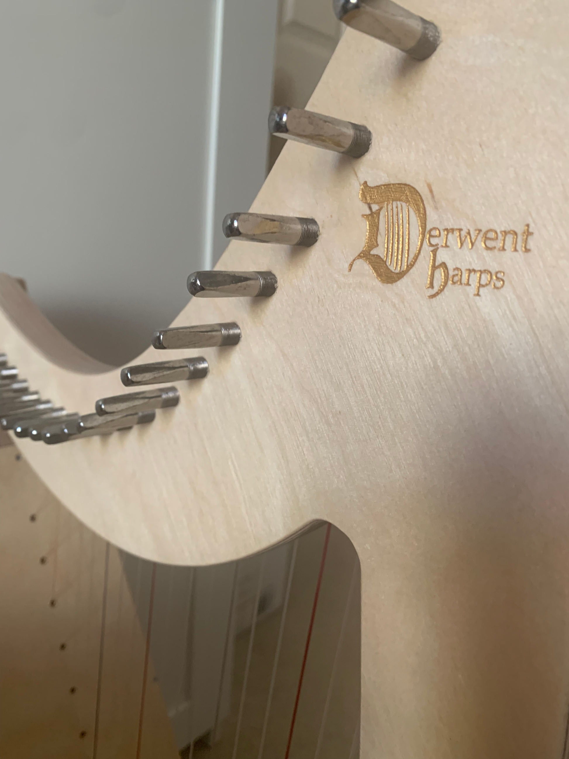 Derwent harp 16st image 5
