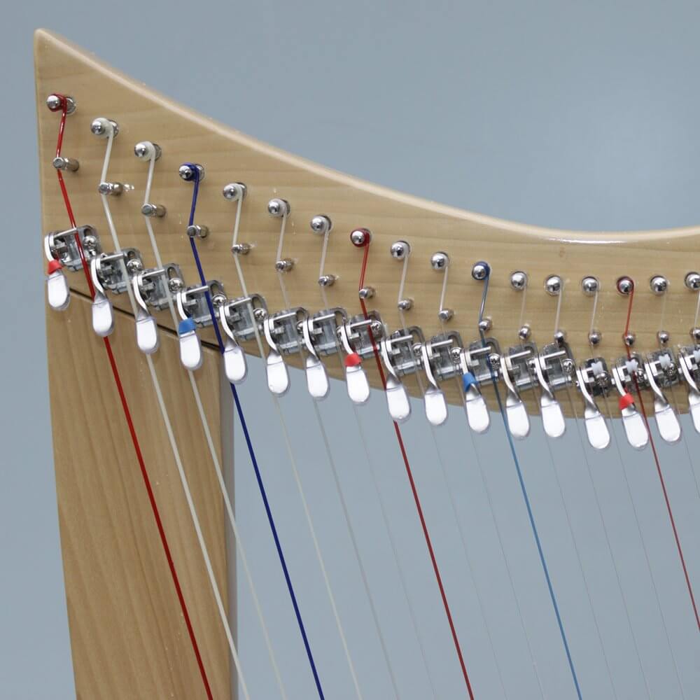 Mikel Harp: Lily Lap 26st image 4