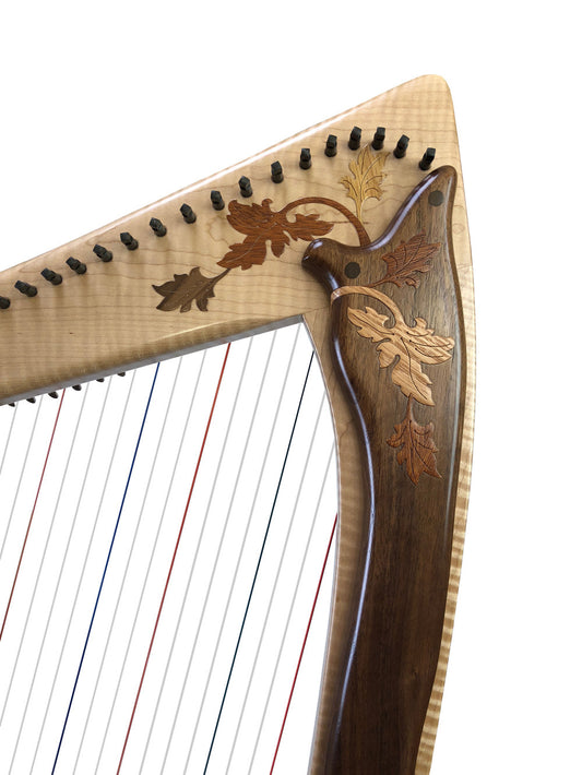 Rees Harps Mariposa 34st image 1