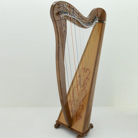 Mikel Harp: Aster 34st image 0
