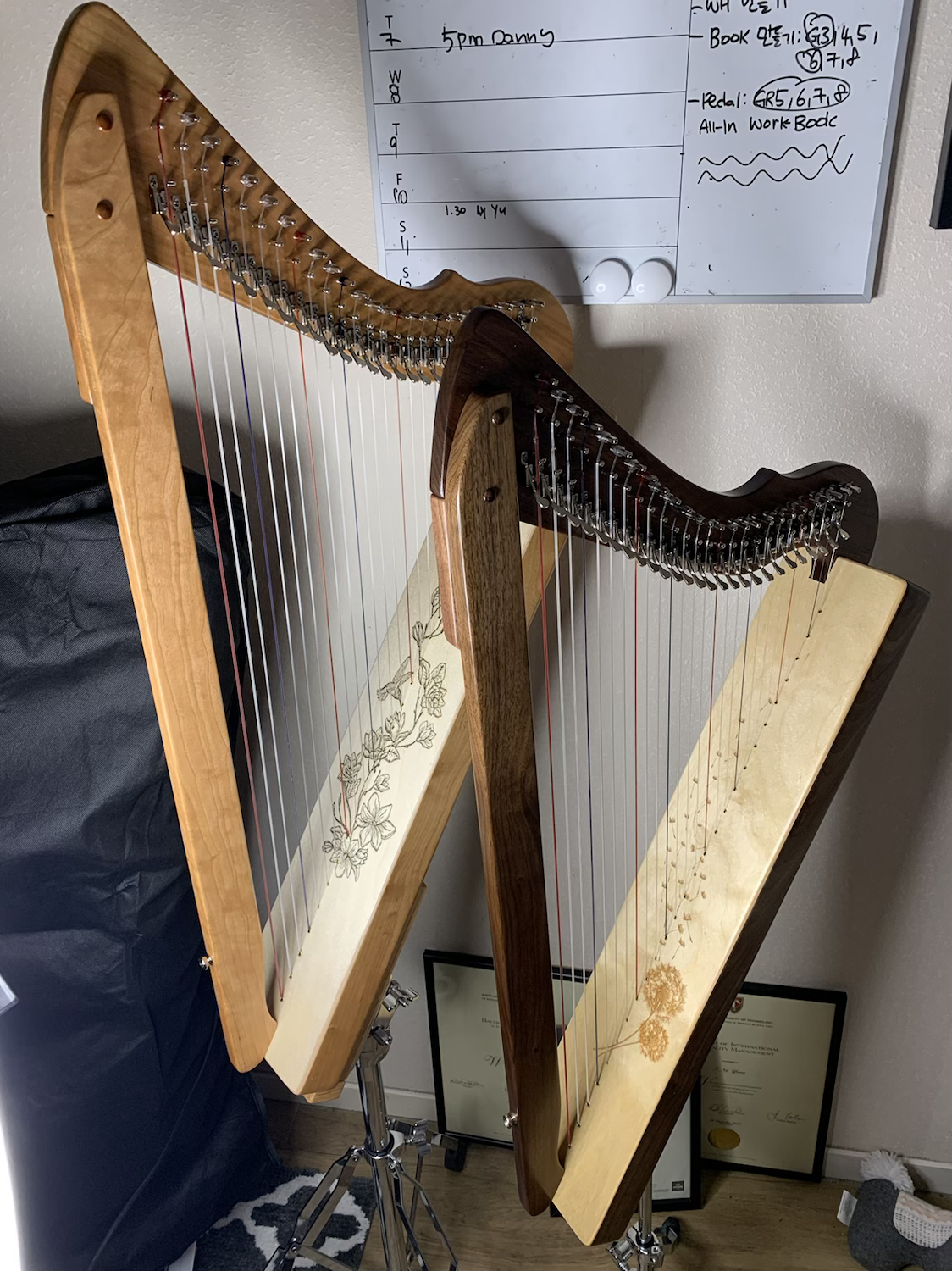 Special Fullsicle-Harp Cherrywood + Hummingbird Ornamentation image 0