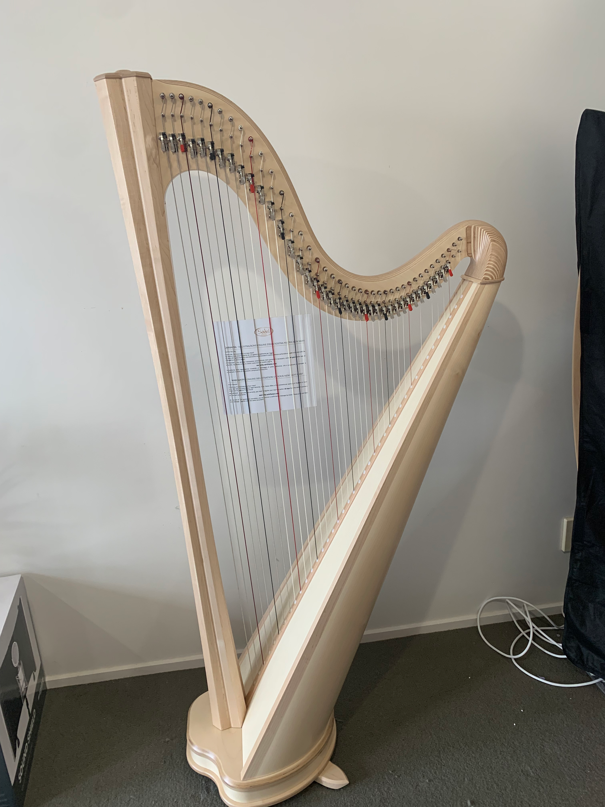 Salvi Hermes 40st NATURAL - bio-carbon strings image 2