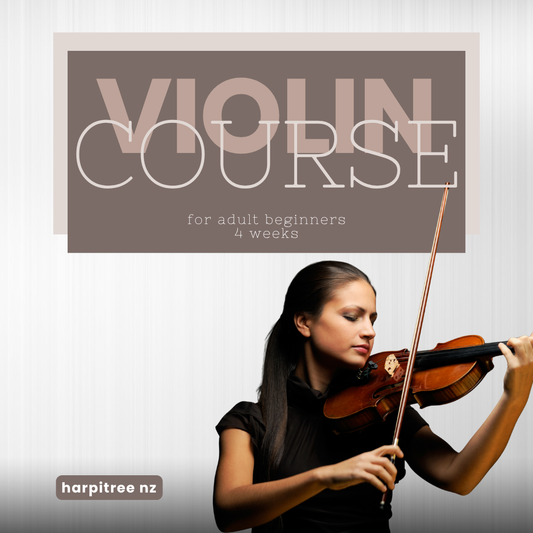 Adult Intro violin 4-week course